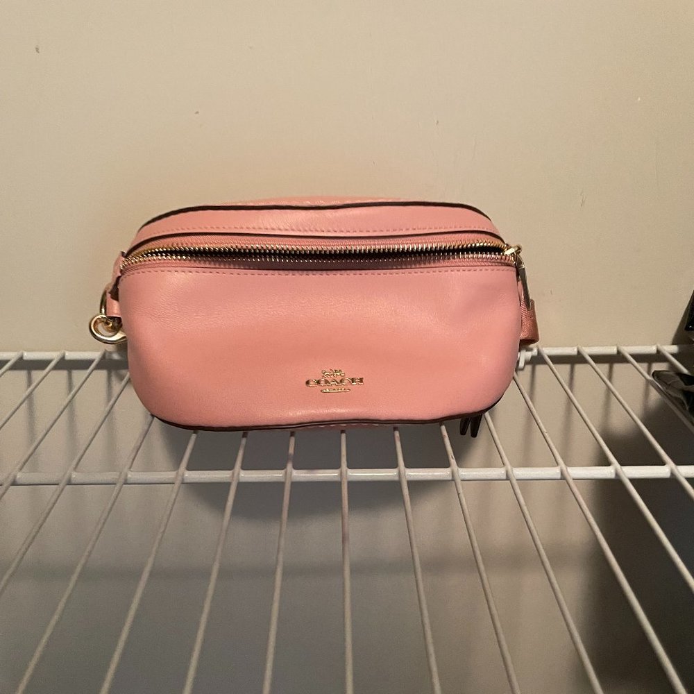 pink selena gomez fanny pack